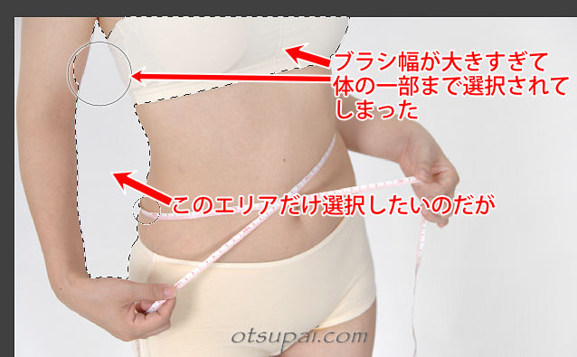 キャプチャ画像