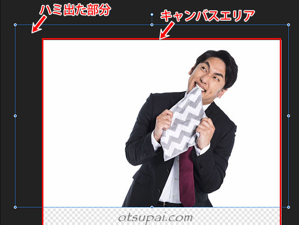 キャプチャ画像