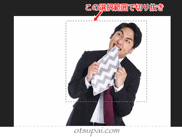 キャプチャ画像