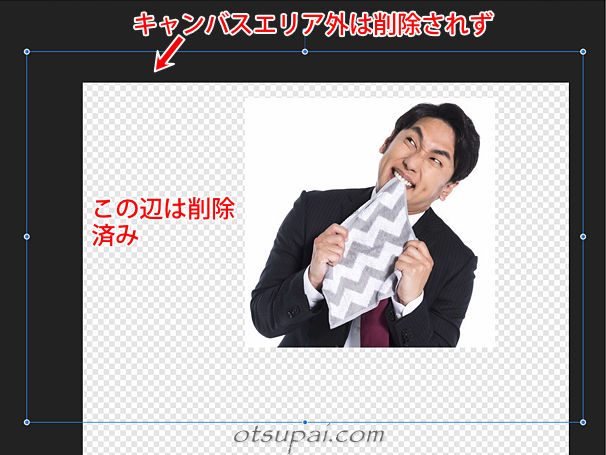 キャプチャ画像