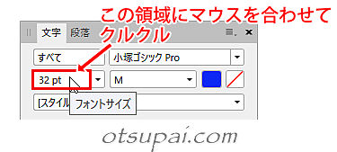 キャプチャ画像