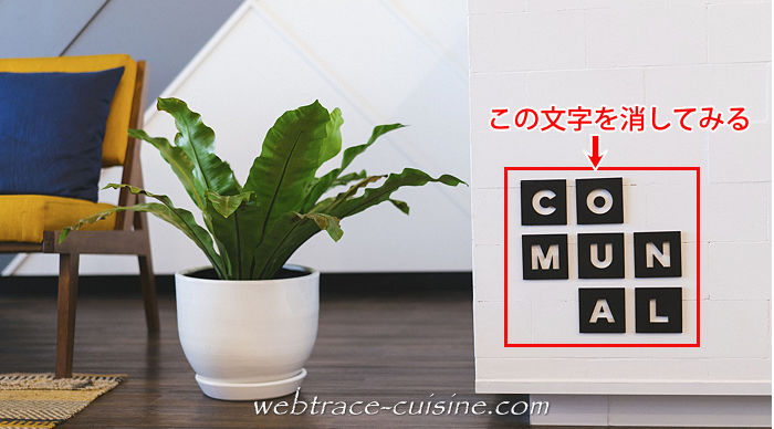 キャプチャ画像