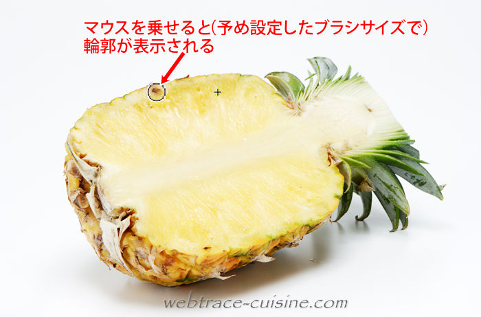 キャプチャ画像