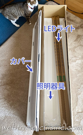 キャプチャ画像