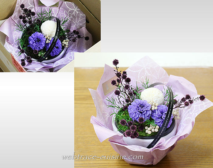 お花画像