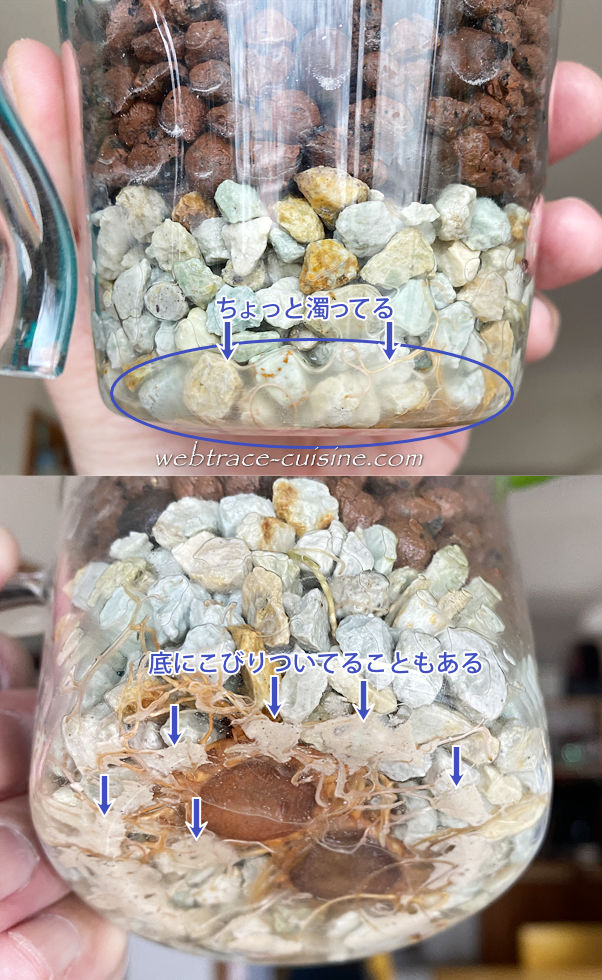 キャプチャ画像