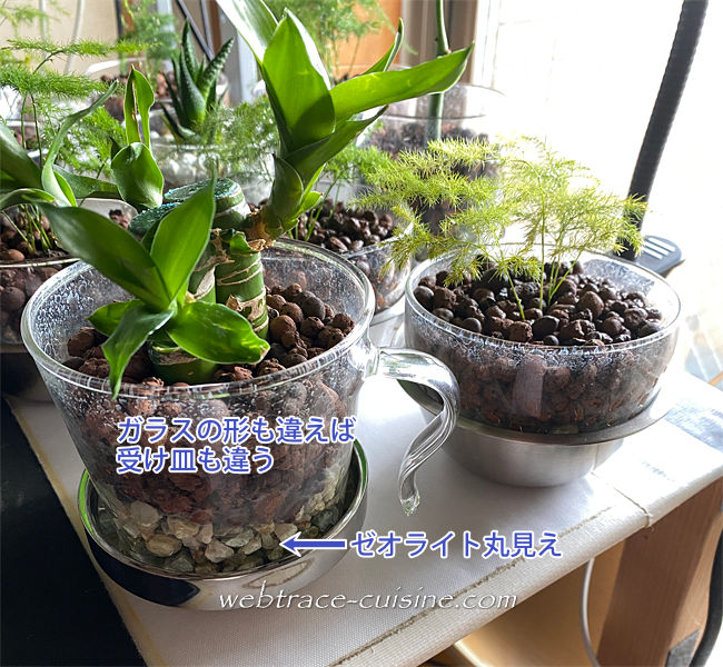 キャプチャ画像
