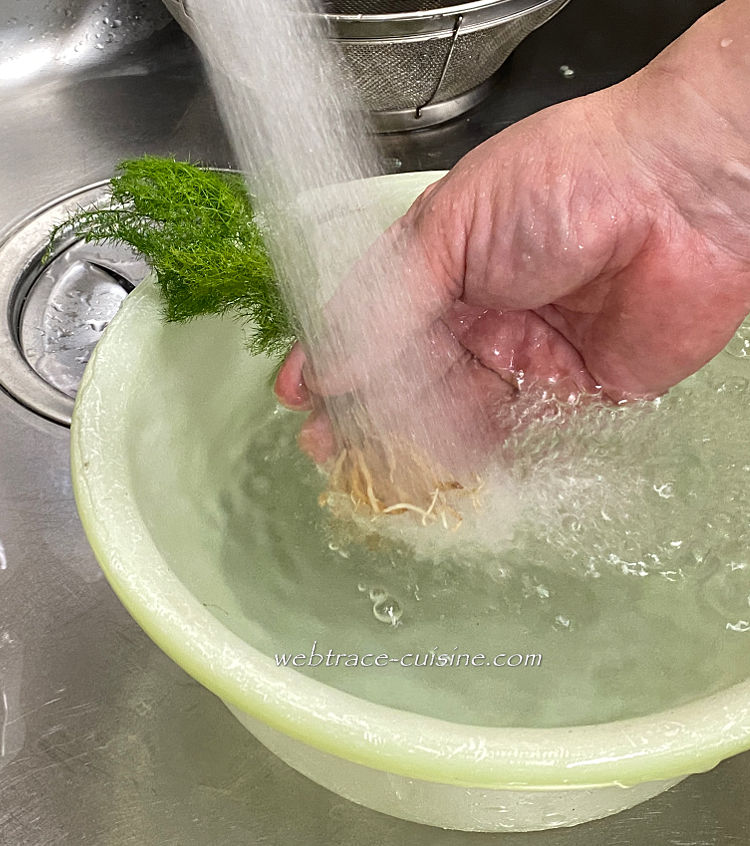 根っこを洗う