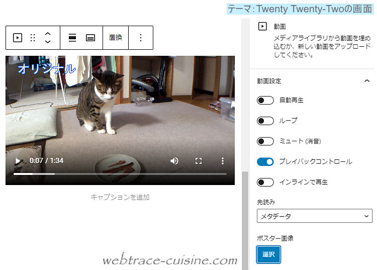 キャプチャ画像