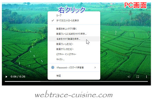 キャプチャ画像