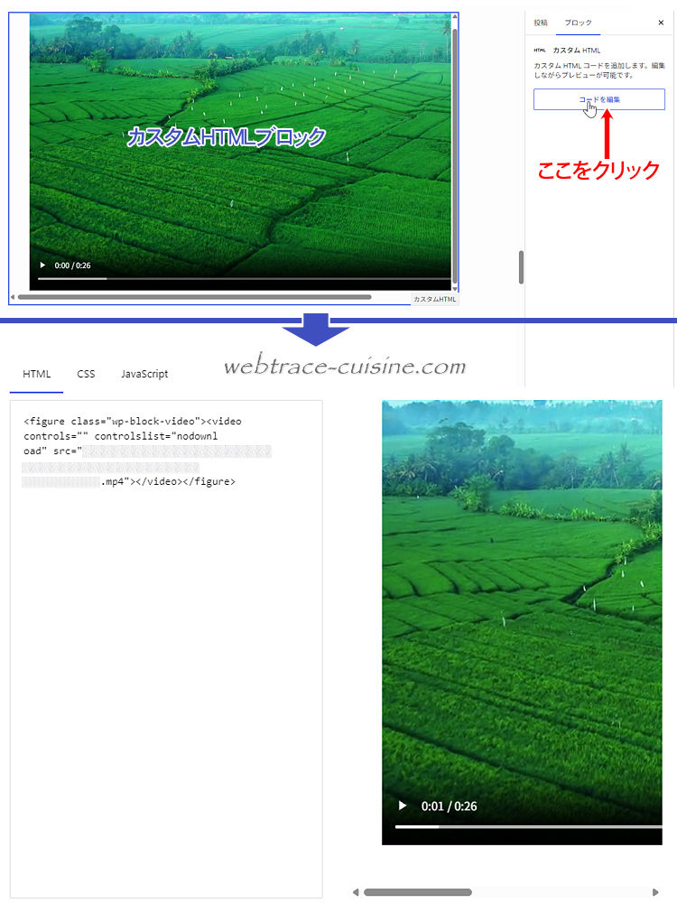 キャプチャ画像