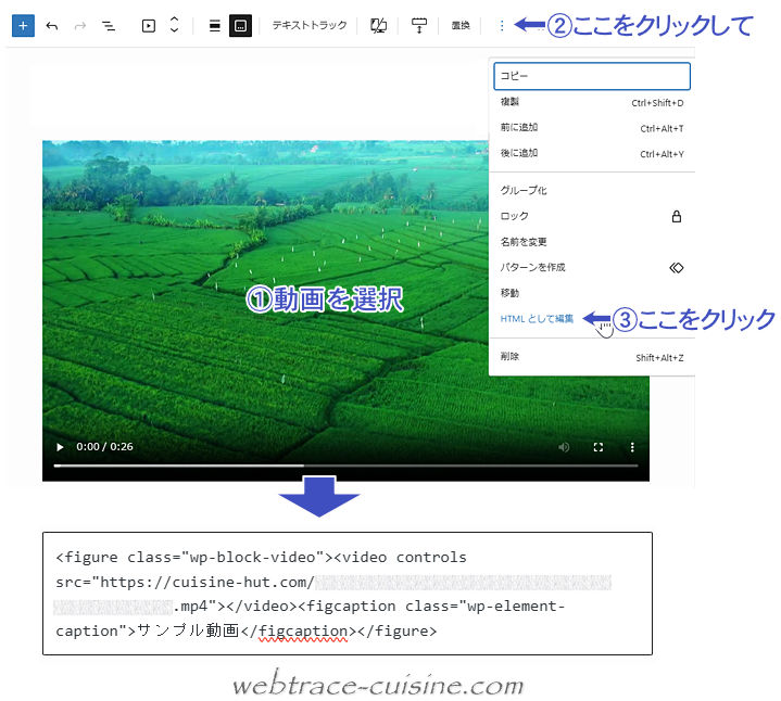 キャプチャ画像