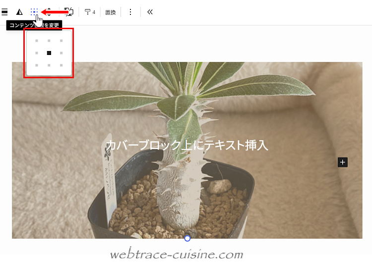 キャプチャ画像