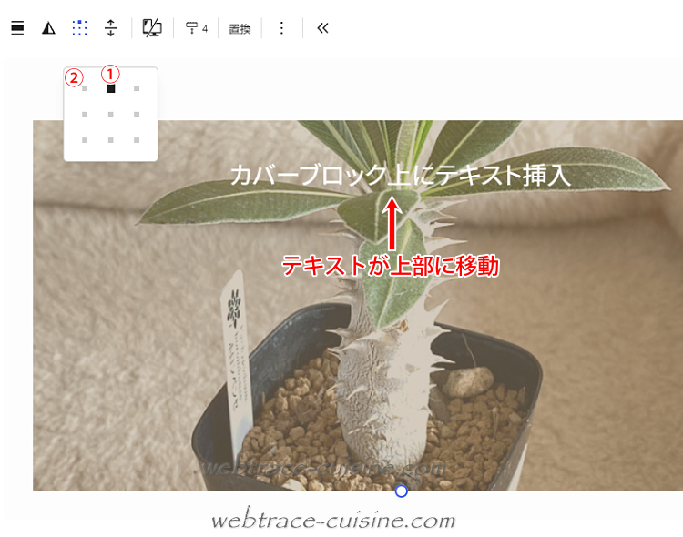 キャプチャ画像