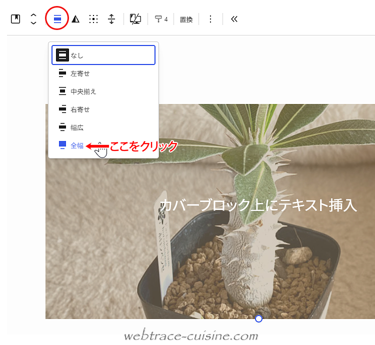 キャプチャ画像