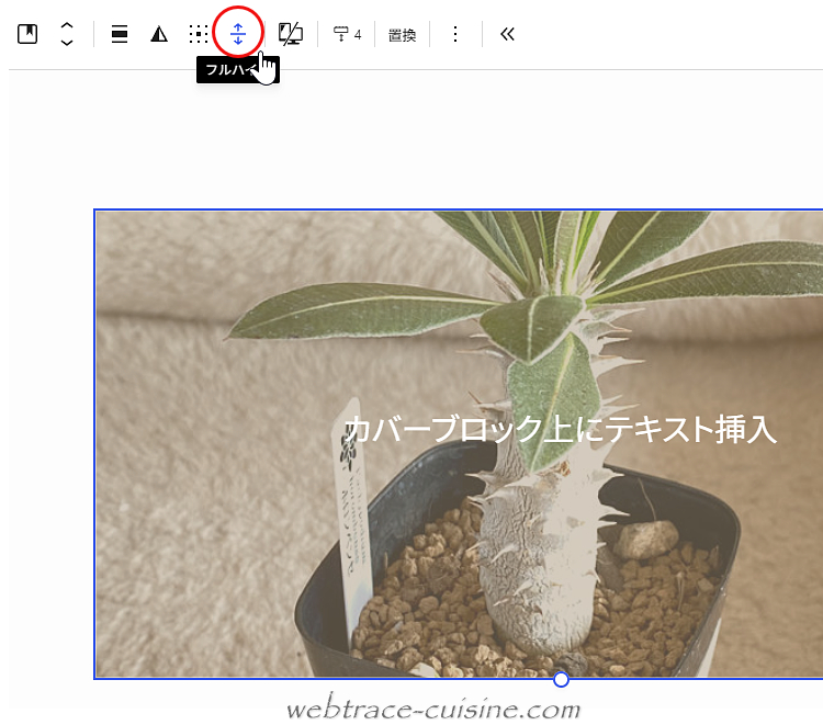 キャプチャ画像