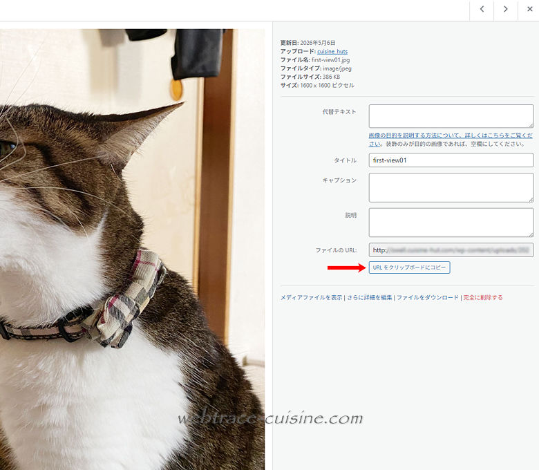 キャプチャ画像