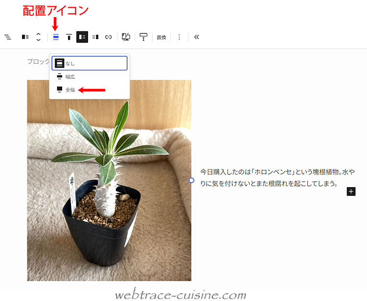 キャプチャ画像