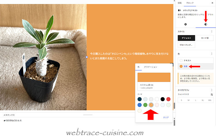 キャプチャ画像
