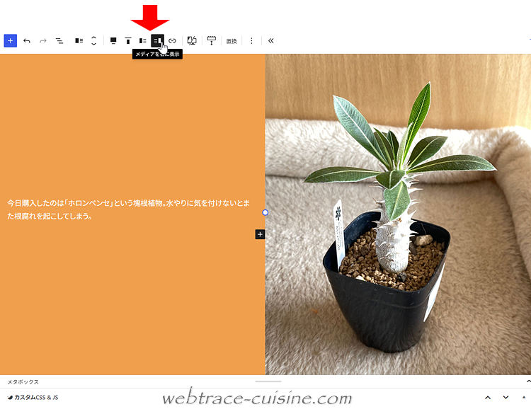 キャプチャ画像